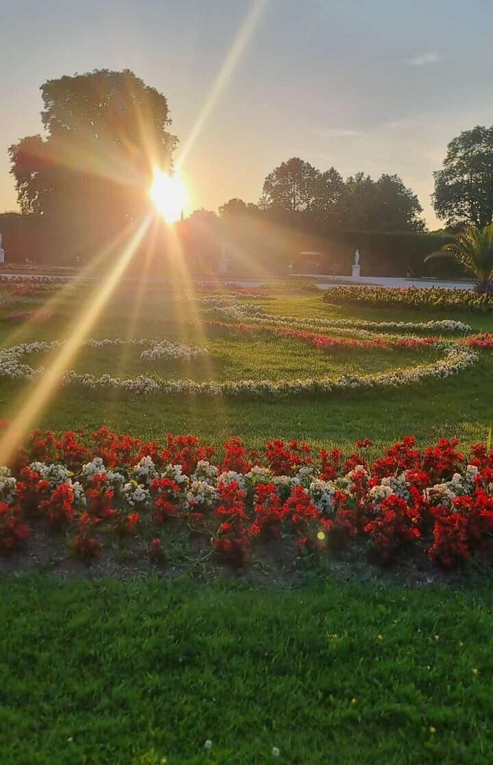 Sonnenuntergang mit blühenden Blumen und einer Gartenanlage